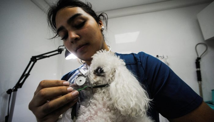 2026-01-19t032350z-255457647-rc2x3jalwkae-rtrmadp-3-chile-fire