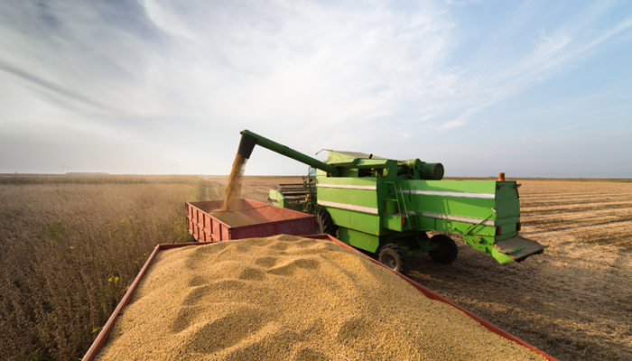 Agro brasileirp