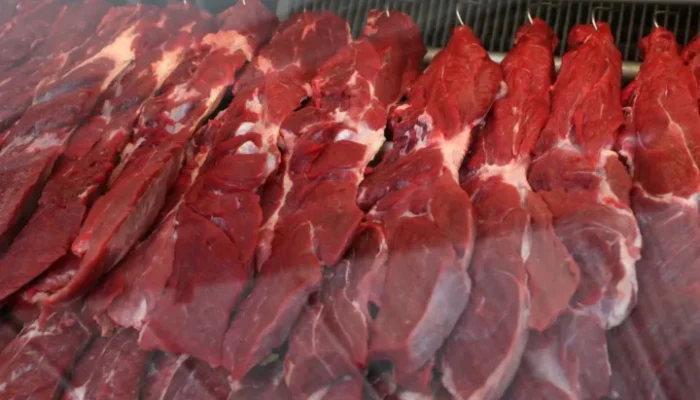 Carne