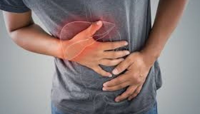 Fígado e pancreas Fígado e pancreas