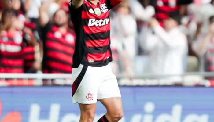 Flamengo e palmeiras Flamengo e palmeiras