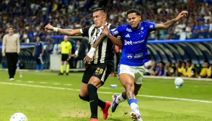 Galo e Cruzeiro