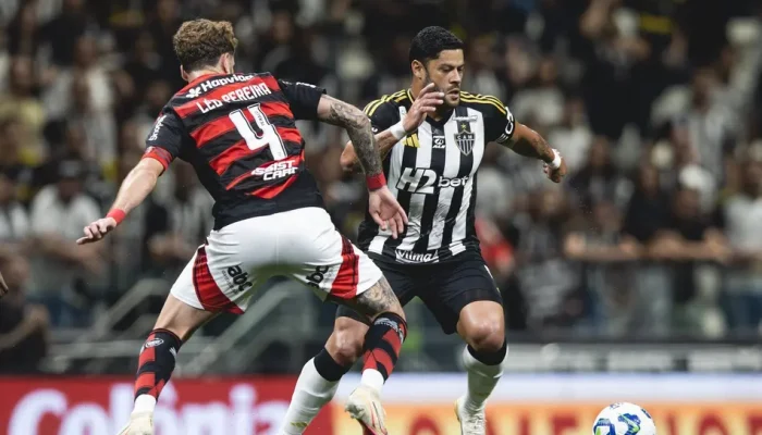 Galo e Flamengo