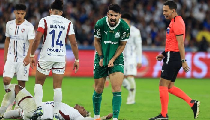 LDU-x-Palmeiras-5 LDU-x-Palmeiras-5