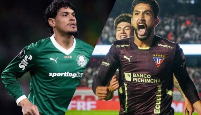 Ldu e Palmeiras
