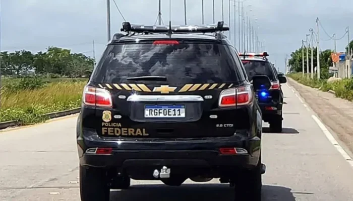 PF-1-1024x591