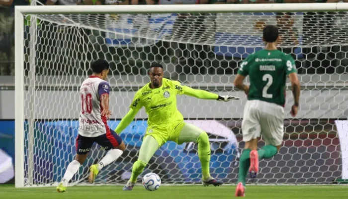 Palmeiras e Cerro