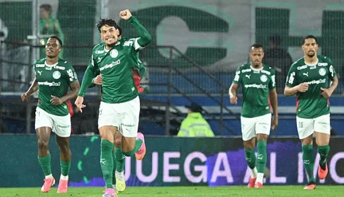 Palmeiras e cerro final