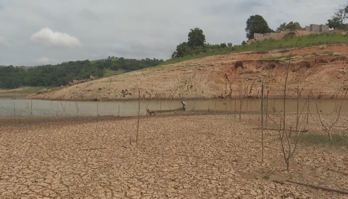 acervo-sp2-limpo-20251229-1830-frame-115838