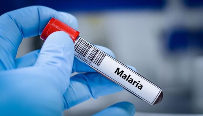 adobestock_vacina-malaria_widexl