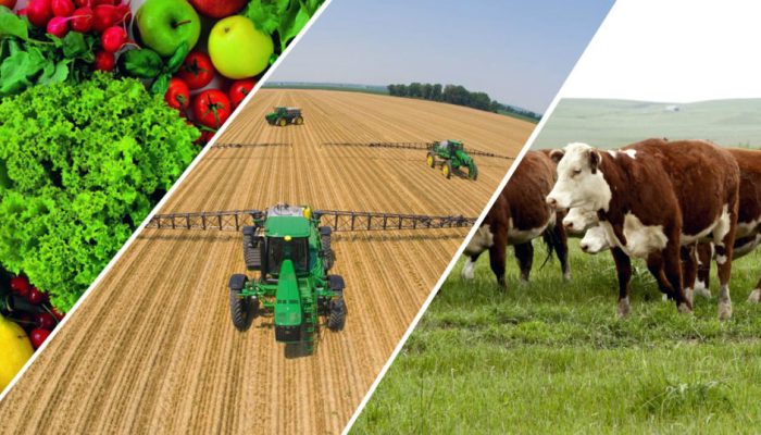 agro-1024x538