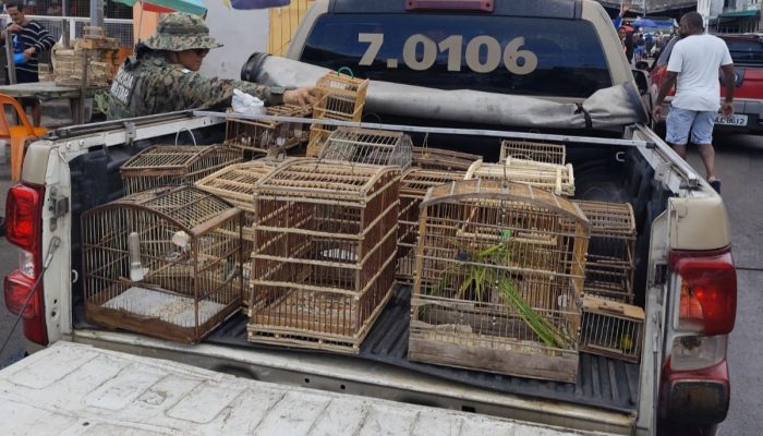 aves-resgatadas-alagoinhas-2-