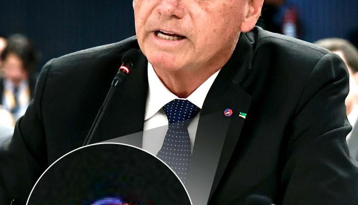 bolsonaro-zoom