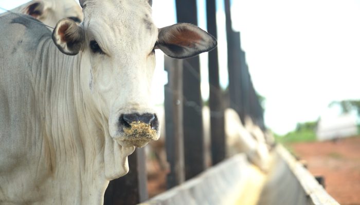 c0013.mp4.23-37-50-00.quadro004