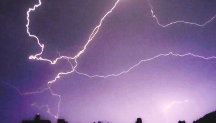 edig1-2025-11-08t130215.193