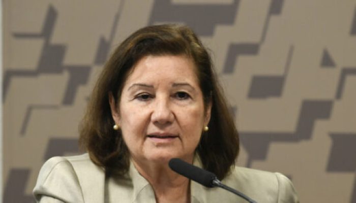 Em pronunciamento à mesa, embaixadora dos Estados Unidos da América, Maria Luiza Ribeiro Viotti.

Foto: Jefferson Rudy/Agência Senado