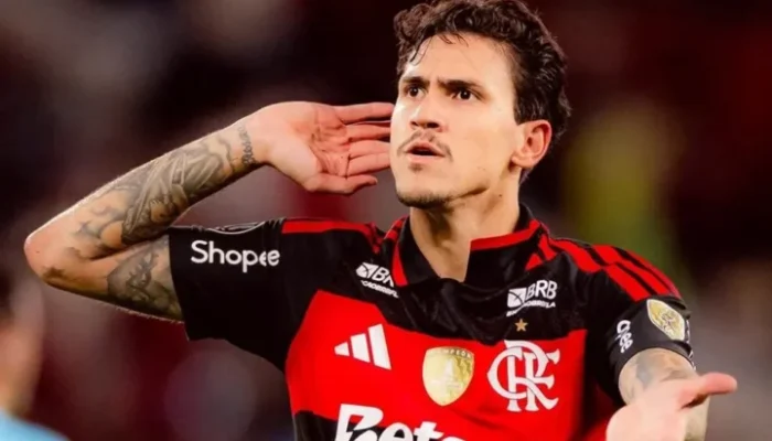 flamengo-pedro-1-aspect-ratio-512-320