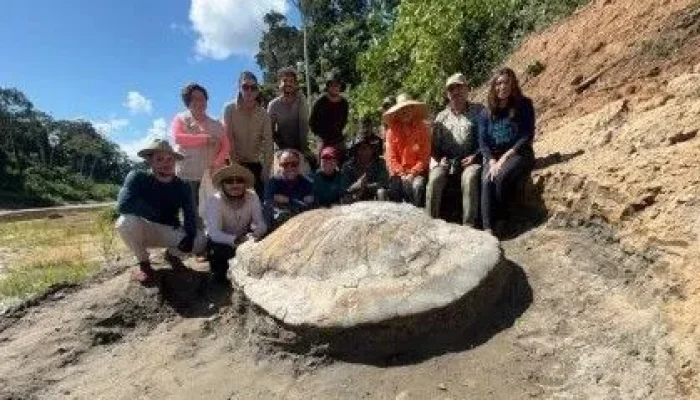fossil-da-tartaruga-e1753709483755