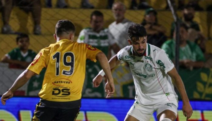 novorizontino-palmeiras-paulistao-final-datas-horarios-1068x601.jpg.optimal