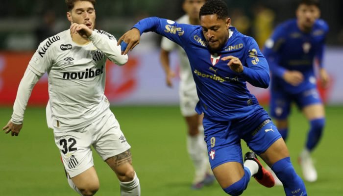 palmeiras-x-santos-1