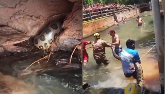 sucuri-gigante-rio-quente