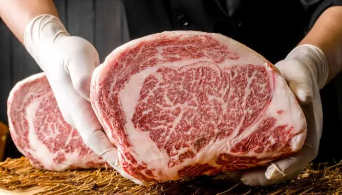 wagyu-AdobeStock_877221599