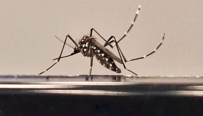 whatsapp-image-2025-08-18-at-13.24.24