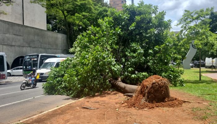 whatsapp-image-2025-12-10-at-11.54.52