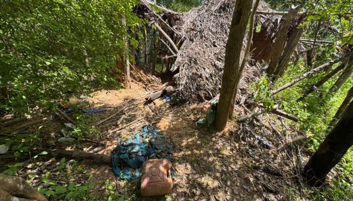 whatsapp-image-2026-01-15-at-19.30.33